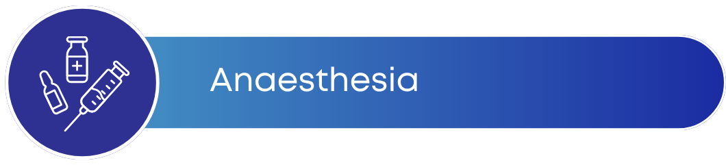 WEBSITE ASSETS HEALTH NOW BUTTONS (13)